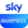 Sky Business
